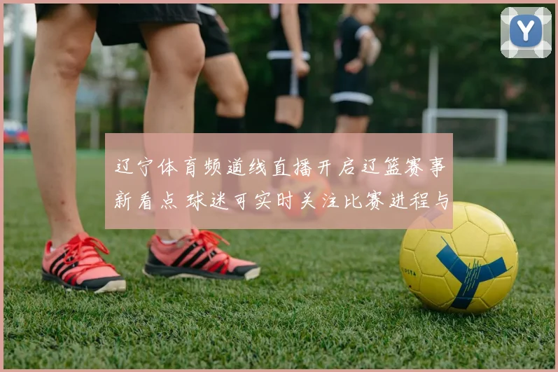 辽宁体育频道线直播开启辽篮赛事新看点 球迷可实时关注比赛进程与赛后解读