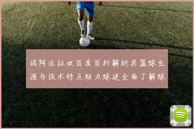 诺阿法拉坎百度百科解析其篮球生涯与技术特点助力球迷全面了解球员背景
