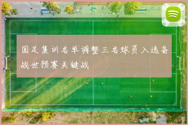 国足集训名单调整三名球员入选备战世预赛关键战