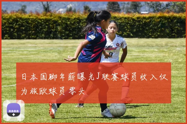 日本国脚年薪曝光J联赛球员收入仅为旅欧球员零头