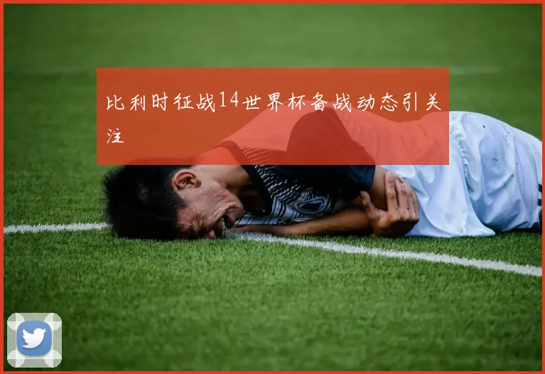 比利时征战14世界杯备战动态引关注