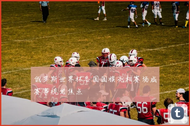 俄罗斯世界杯各国国旗亮相赛场成赛事视觉焦点